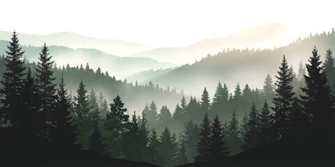 Fototapeta premium Misty pine forest landscape with layers of mountains in the early morning fog