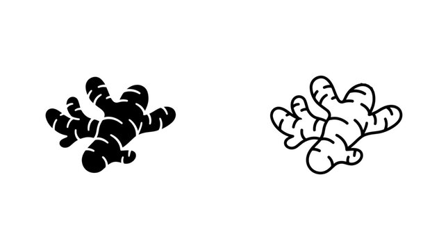Ginger root illustration with leaves black and white line drawing