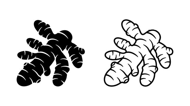 Ginger root with leaves depicted as a black and white vector illustration