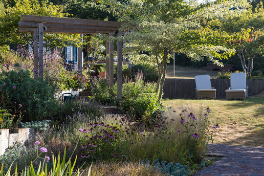 Garden with mixed planting and loungers