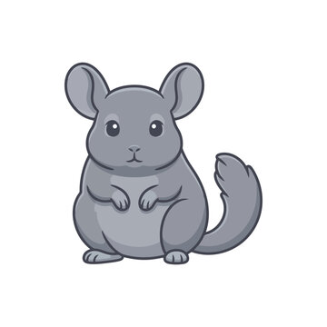 Cute cartoon chinchilla with big eyes and fluffy tail on white background.