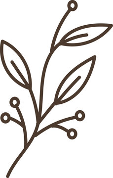 Delicate brown outline of a branch with leaves and berries