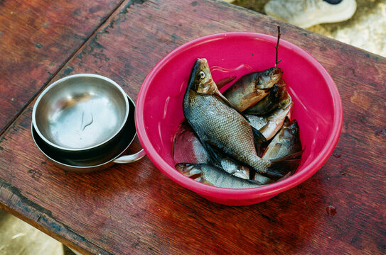 Fish Caught in a Bowl During a Fishing Trip at a Riverbank
