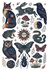 Obraz premium Bohemian celestial animal and nature sticker set PNG transparent background