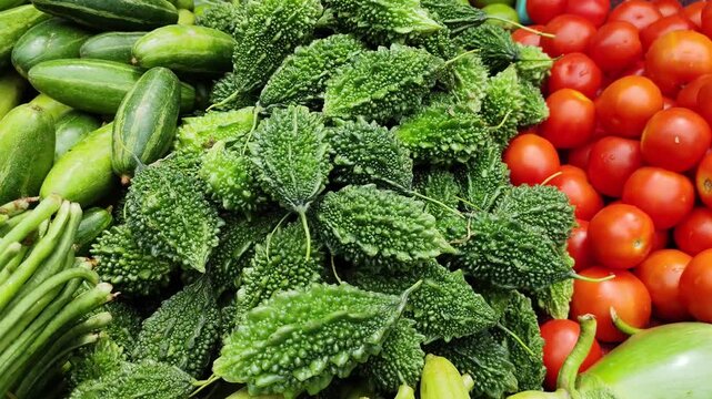 Fresh bitter gourd organic vegetables pile background