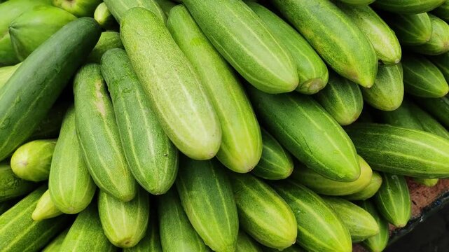 Cucumber top view of fresh organic whole cucumbers group