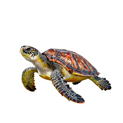 Fototapeta premium Sea turtle with colorful patterned shell swims gracefully underwater