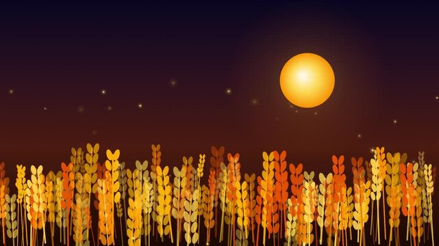 Autumn wheat field night landscape illustration. Features golden moon, starry sky, and harvest crops. Flat design vector background for seasonal cards and agricultural themes.