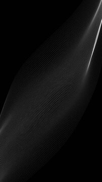 Abstract white flowing lines on black background