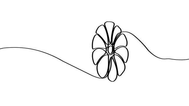 Line drawing of flower with trailing line