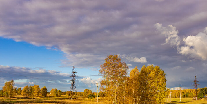 Golden trees stand tall beneath a vast, cloudy sky