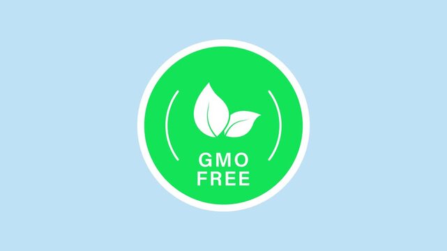 GMO-free certification and natural sticker animation with a green circular on a transparent background. Non-genetically modified organism. Seamless animated icon. 4K video overlay isolated element.