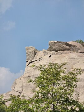 Granite rock formation framed by green vegetation