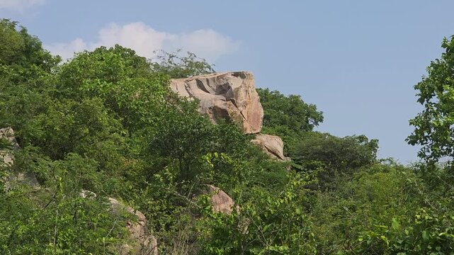 Rocky hillside surrounded by lush green vegetation