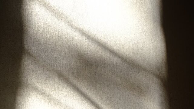 Delicate movement of shadows cast upon a white beige wall. High-contrast interplay creates a moody, contemplative atmosphere. The stark contrast lends a dramatic, cinematic quality to the scene.