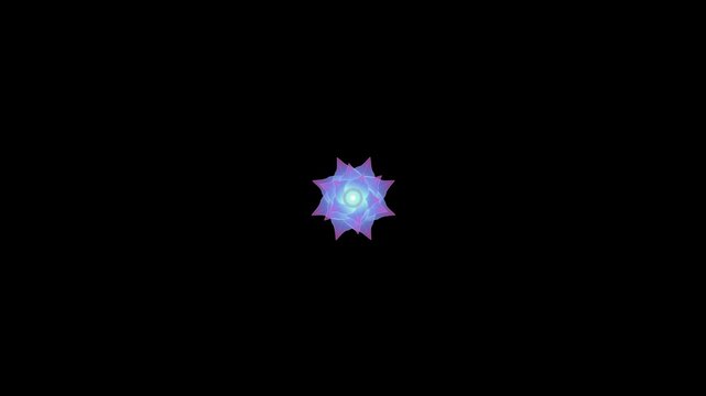 Prism Verbena Translucent Geometric Flower Animation floral motion bac