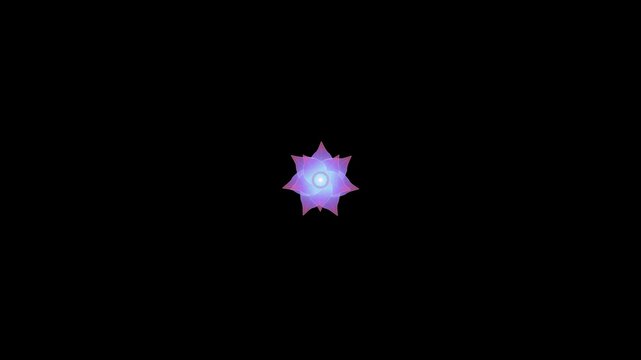 Prism Lantana Translucent Geometric Flower Animation floral motion bac