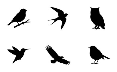 Fototapeta premium Bird silhouettes for logo or print