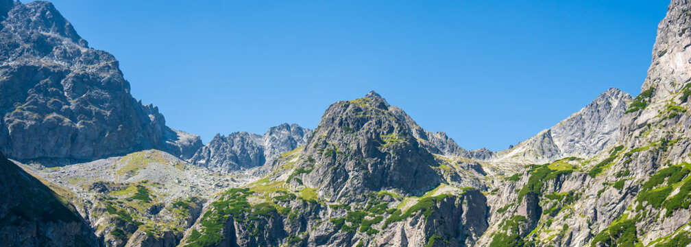 Wide panoramic view of a rocky mountain ridge with sharp peaks, scree slopes and green dwarf pine under a deep blue sky, concept of alpine landscape, trekking destination and mountain header backgrou