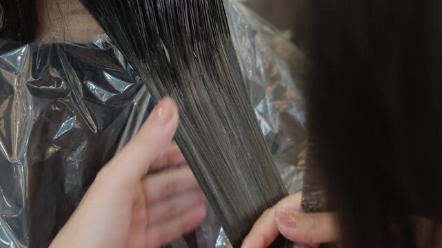 Hairdresser combing and trimming wet hair in a salon