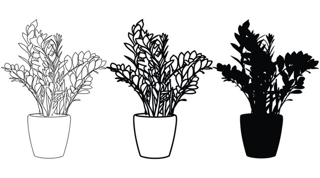 Minimalist zamioculcas plant in pot vector set featuring outline thin line and solid black silhouette graphics for interior design.