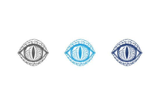 Three stylized reptilian eyes in different color variations.