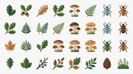 Fototapeta premium Clean Colorful Flat Set of Forest Elements Leaves Ferns Mushrooms Beetles and Pinecones with high quality professional line art symbols for modern creative design and digital branding projects