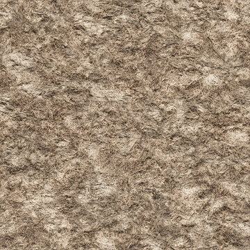 Hay Natural Seamless Texture
