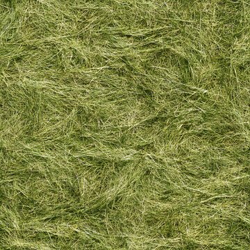 Hay Fresh Seamless Texture