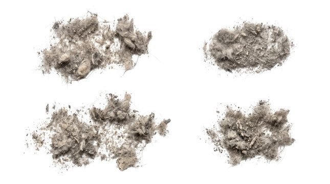 Four separate piles of household dust patches isolated on a white background