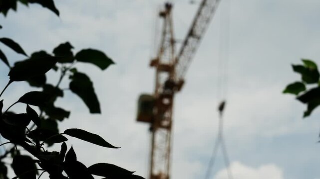 Silhouetted foliage frames tall building crane operating against cloudy atmosphere. Mechanical hoist equipment performs structural tasks, presenting contrast between nature and industry.