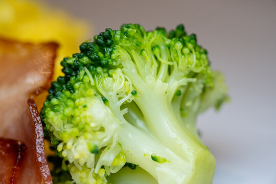 Macro shot of cooked green broccoli florets side dish.