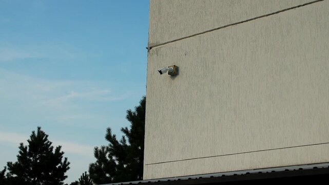 Surveillance device stays fixed to upper corner of exterior facade in daylight conditions. Outdoor monitoring camera observes surrounding perimeter while pine trees stand against clear sky.