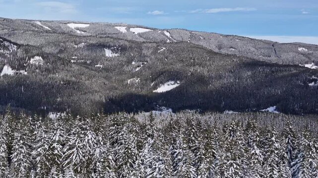 Aerial view of snow-covered coniferous forest in the Weststeiermark region near Soboth Reservoir, Styria, Austria.