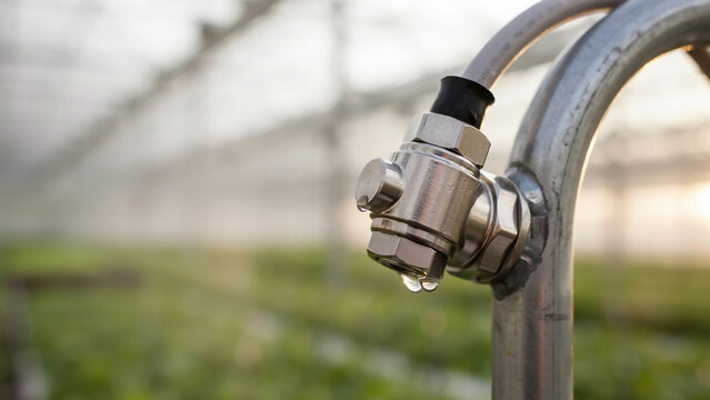 Water droplets on greenhouse irrigation pipe fitting