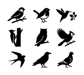 Fototapeta premium Bird silhouettes set with sparrow, hummingbird, owl, woodpecker, swallow and pigeon for logo or icon
