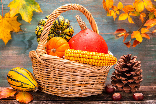 Herbstdekoration f&uuml;r Halloween und Erntedank mit K&uuml;rbis, Fr&uuml;chten und Herbstbl&auml;tter