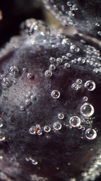 Extreme macro close up shot of fresh dark grapes or berries submerged in fizzy carbonated water, covered with shimmering gas bubbles, perfect for commercial food and beverage backgrounds.