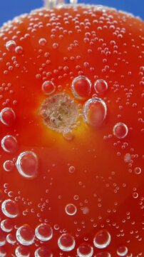 Close-up macro video of a fresh red tomato submerged in sparkling carbonated water surrounded by rising air bubbles.