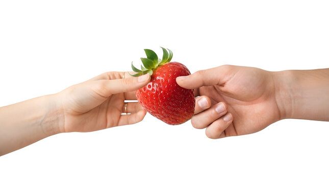 Closeup of a man and a woman holding a fresh red strawberry together isolated on transparent background