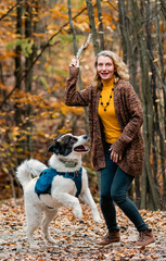 Obraz premium happy woman with dogs playing outdoors in autumn forest
