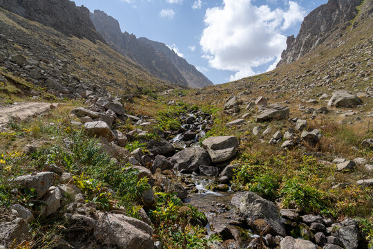 Rocky Mountain Valley with Stream and Hiking Trail.