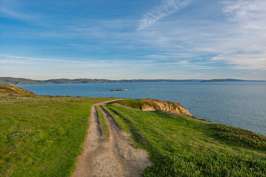 Coastal dirt path leads along the grassy cliffs of Bodega Head in Northern California