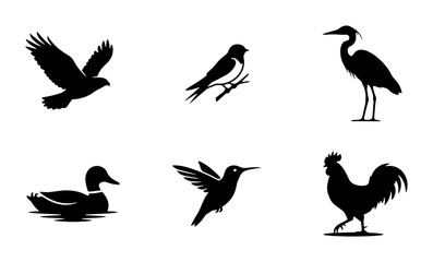 Fototapeta premium Bird silhouettes set with eagle, heron, duck, hummingbird and rooster for wildlife logos