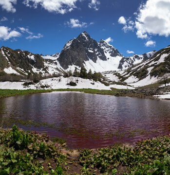Alpine lake and snowy mountain peak under blue sky