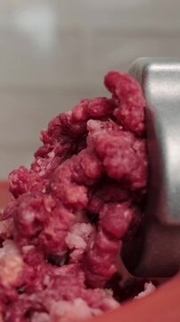 Fresh minced beef emerges continuously from metallic electric meat mincer in kitchen. Appliance processes raw red meat efficiently while preparation for cooking proceeds smoothly as beef is ground.