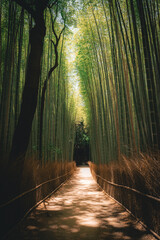 Fototapeta premium Tall green bamboo forest with a path through the stalks, Arashiyama Bamboo Grove, Kyoto, Japan