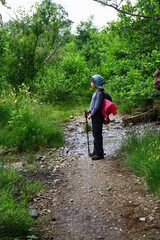 Fototapeta premium Child hiking through a shallow stream on a woodland trail with trekking poles in Scotland
