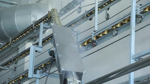 Overhead conveyor moving empty tin cans food factory. Automated cannery plant.