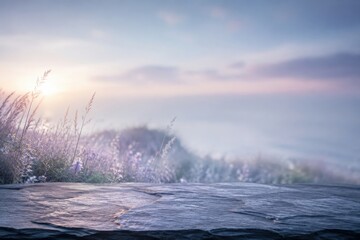 Obraz premium Dreamy sunrise over frosty meadow and weathered stone surface